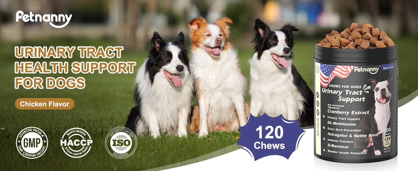 Petnanny chicken flavor urinary tract health support chews for dogs, 120 count, GMP/HACCP/ISO certified, formulated with cranberry extract, DL-Methionine and D-Mannose for canine urinary tract health