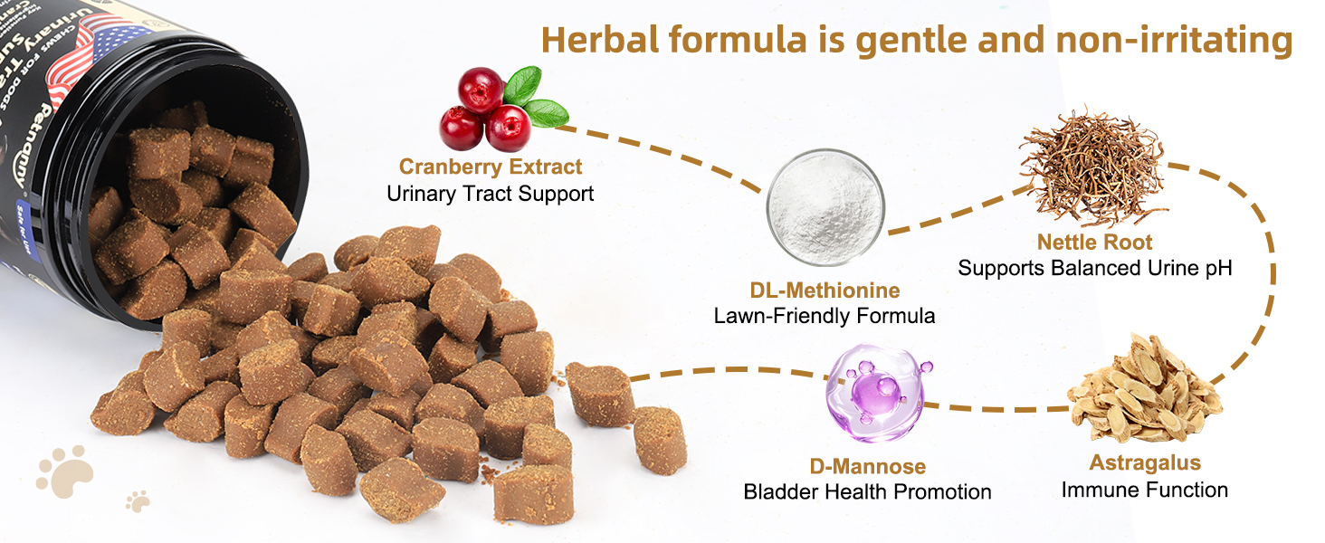 Infographic detailing Petnanny's natural herbal urinary tract support chews for dogs, featuring cranberry extract, DL-Methionine, D-Mannose, astragalus and nettle root to support urinary health, balanced urine pH and immune function