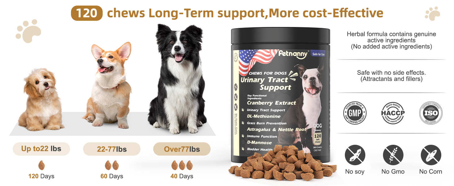 Petnanny 120 urinary tract support chews for dogs, cost-effective long-term formula with dosage by weight (up to 22lbs/22-77lbs/over77lbs), GMP/HACCP/ISO certified, no soy/no GMO/no corn, safe with no side effects