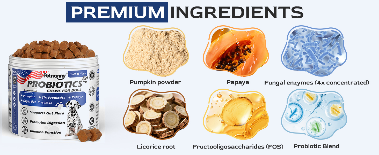 Infographic showcasing premium ingredients in Petnanny dog probiotic chews: pumpkin powder, papaya, 4x concentrated fungal enzymes, licorice root, FOS and probiotic blend for canine digestive health