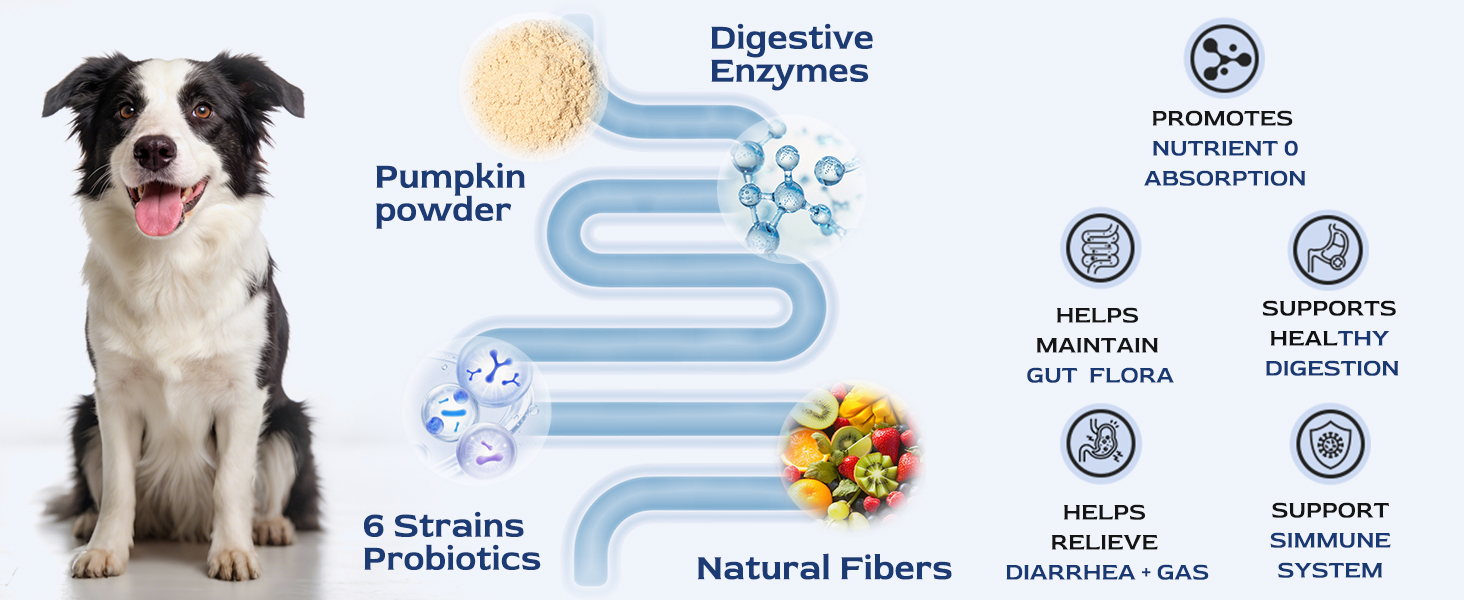 Infographic explaining how Petnanny dog probiotics work: pumpkin powder, 6 strains probiotics, digestive enzymes and natural fibers support nutrient absorption, gut flora, digestion, and immune system while relieving diarrhea & gas