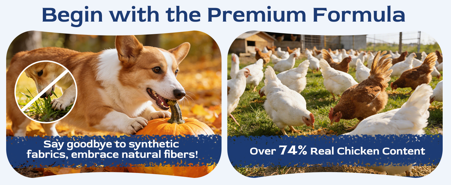 Petnanny dog probiotics premium formula features over 74% real chicken content and natural fibers, ditching synthetic additives for healthy canine digestive support